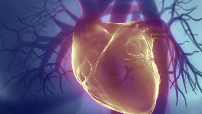 Fisioterapia Cardiológica